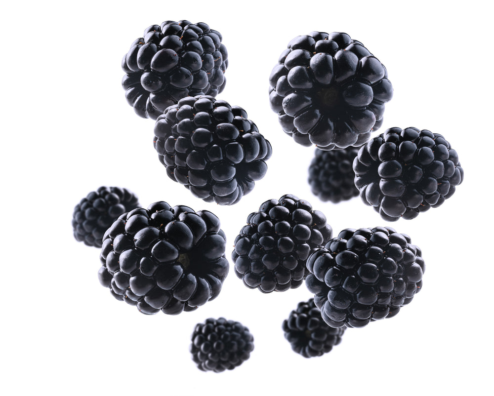 Group of blackberries isolated on white background.