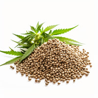 Organic Hemp Seeds