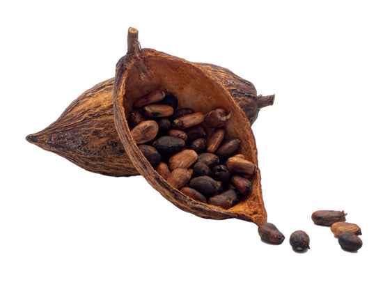 Organic Cacao Nibs